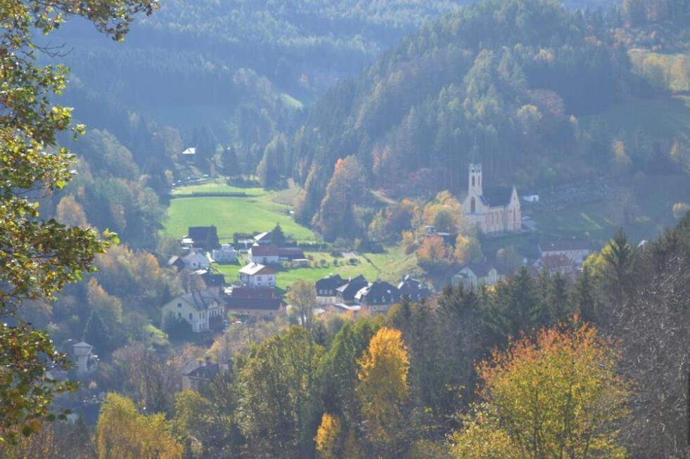 Gemuetliche Ferienwohnung - Prein An Der Rax Экстерьер фото
