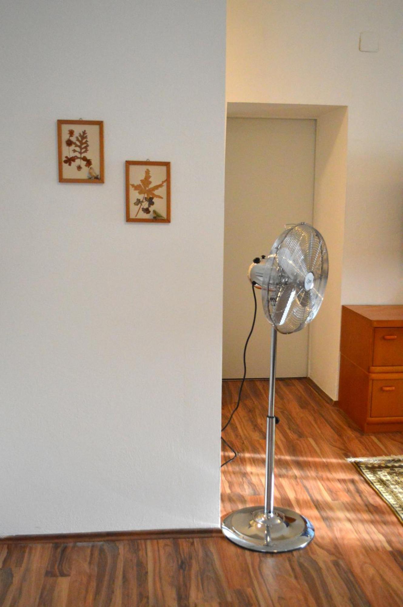 Gemuetliche Ferienwohnung - Prein An Der Rax Экстерьер фото